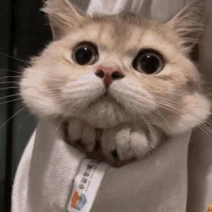 一级黄色女人深喉灌肠直播大秀
