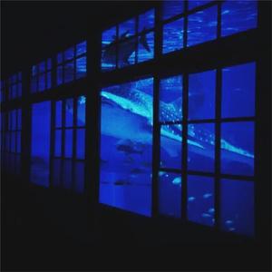 一级黄色女人深喉灌肠直播大秀
