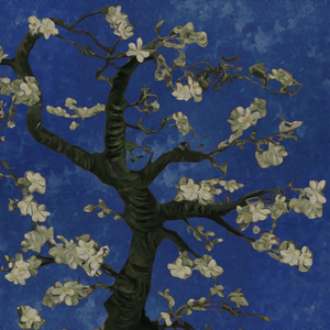 一级黄色女人深喉灌肠直播大秀
